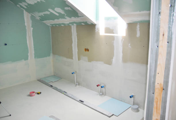 Best Mold Damage Restoration  in Red Bud, IL