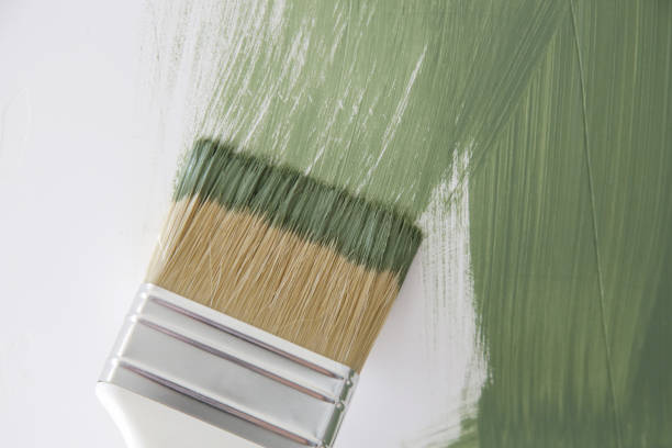 Best Black Mold Removal  in Red Bud, IL