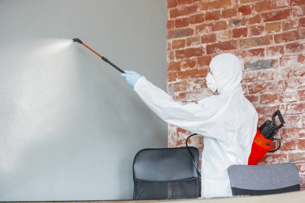 Best Air Quality Testing for Mold Spores  in Red Bud, IL