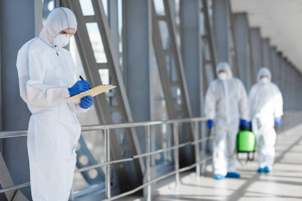 Best Black Mold Removal  in Red Bud, IL