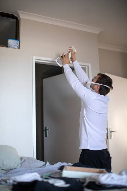 Best Water Damage & Mold Remediation  in Red Bud, IL