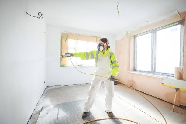 Mold Odor Removal Services in Red Bud, IL