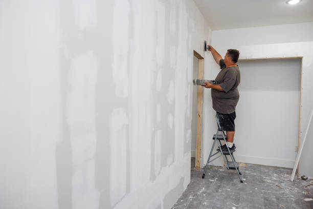 Best Biohazard Mold Removal  in Red Bud, IL