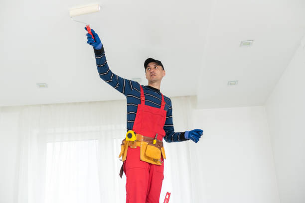 Best Basement Mold Removal  in Red Bud, IL