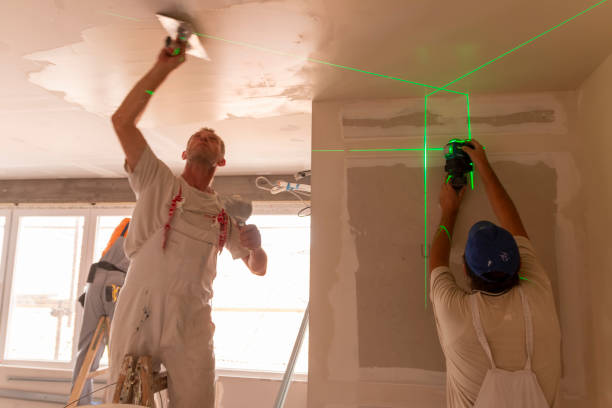 Best Crawl Space Mold Remediation  in Red Bud, IL